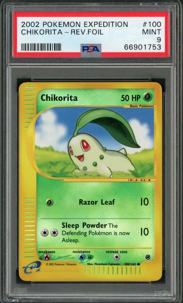 Chikorita