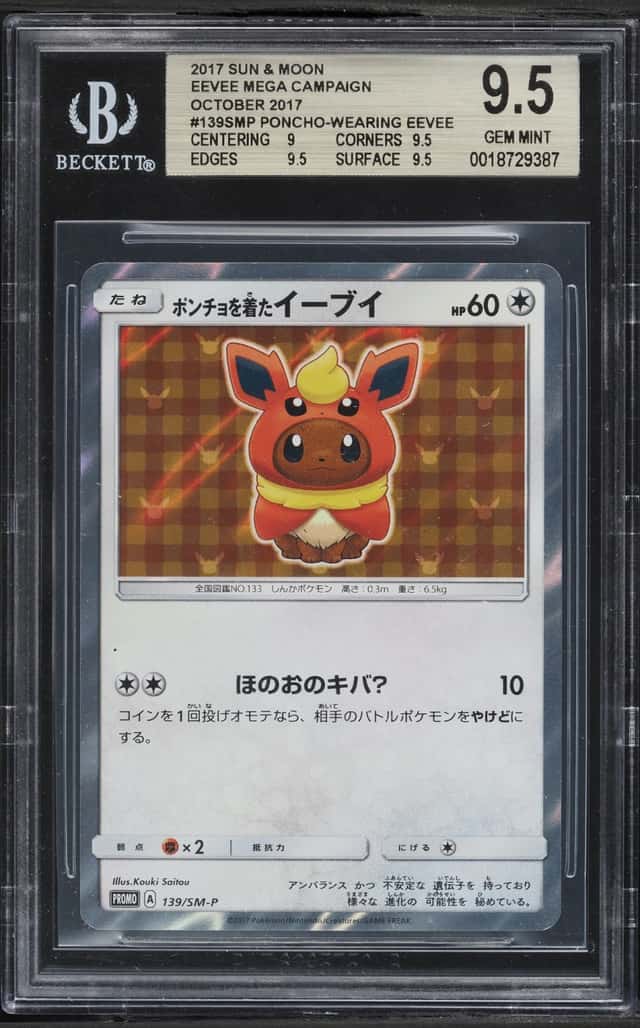 Poncho-Wearing Eevee