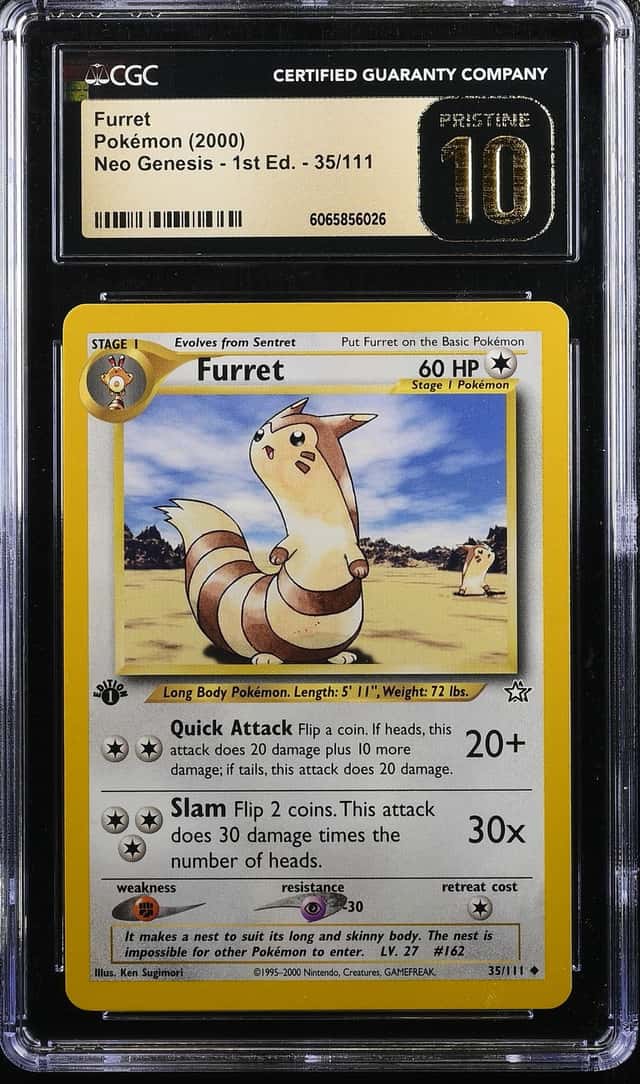 Furret