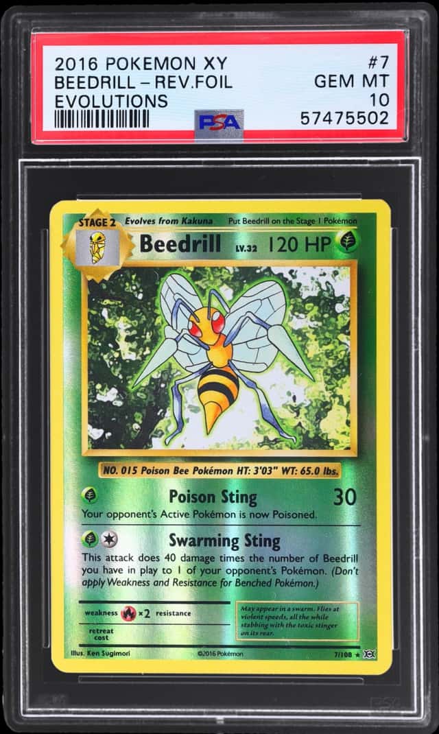 Beedrill