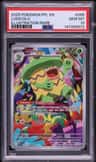 Ludicolo