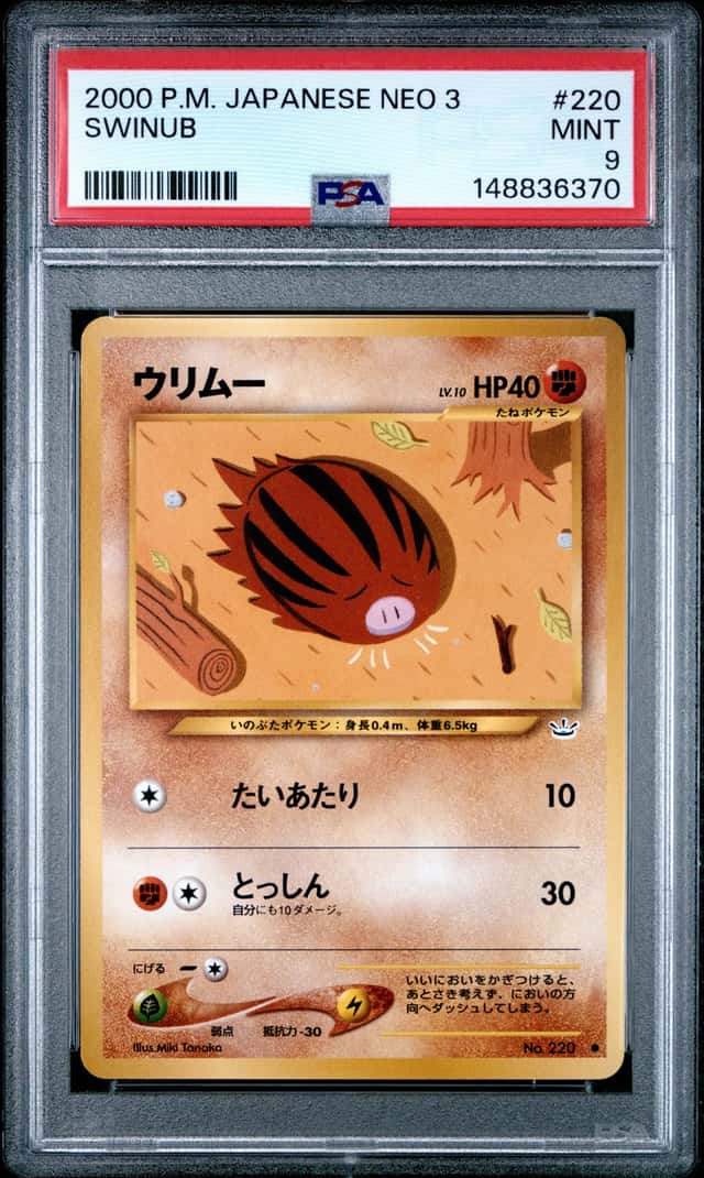 Swinub