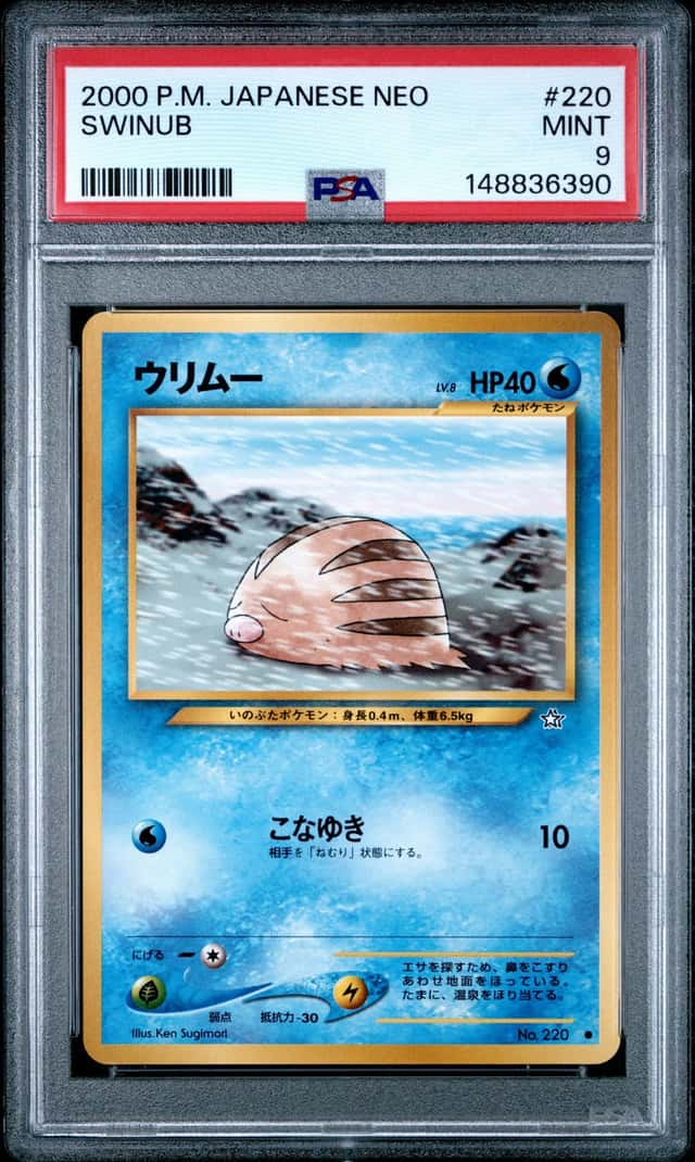 Swinub