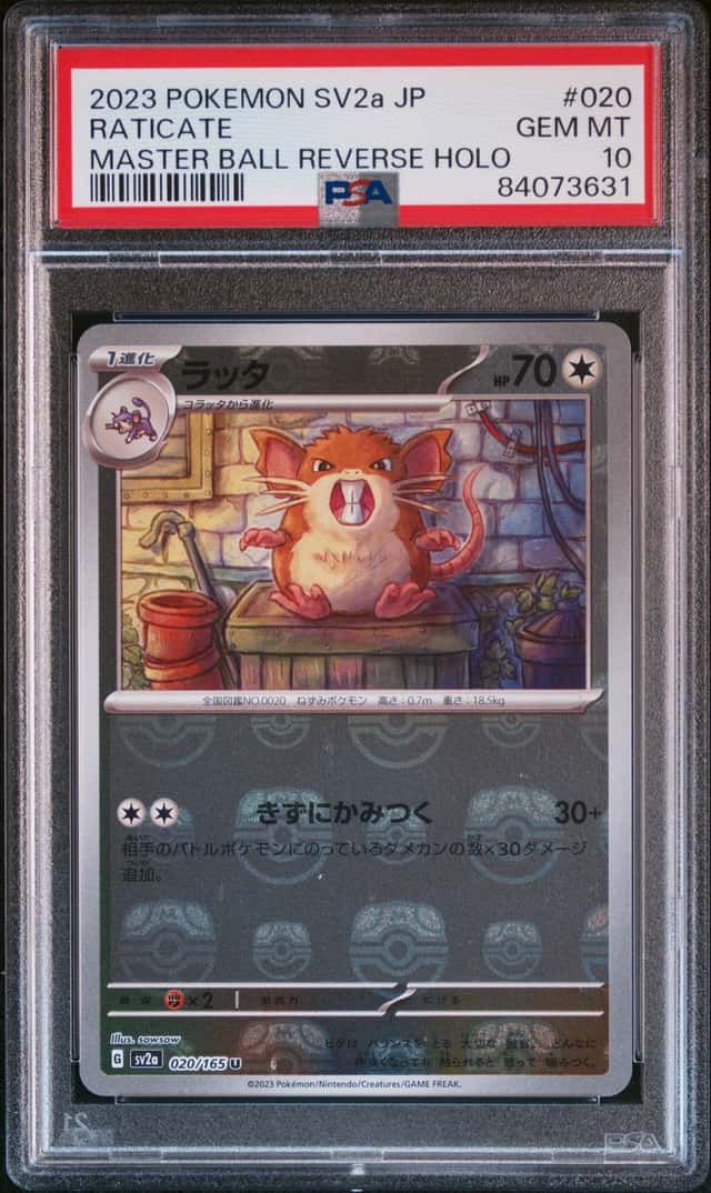 Raticate