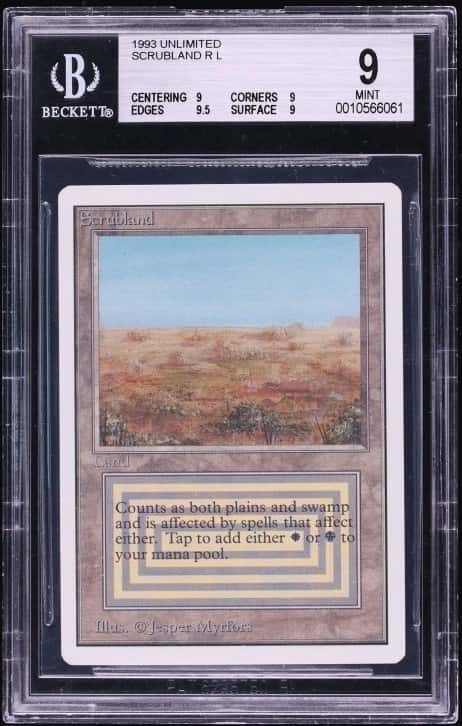 Scrubland R :L: