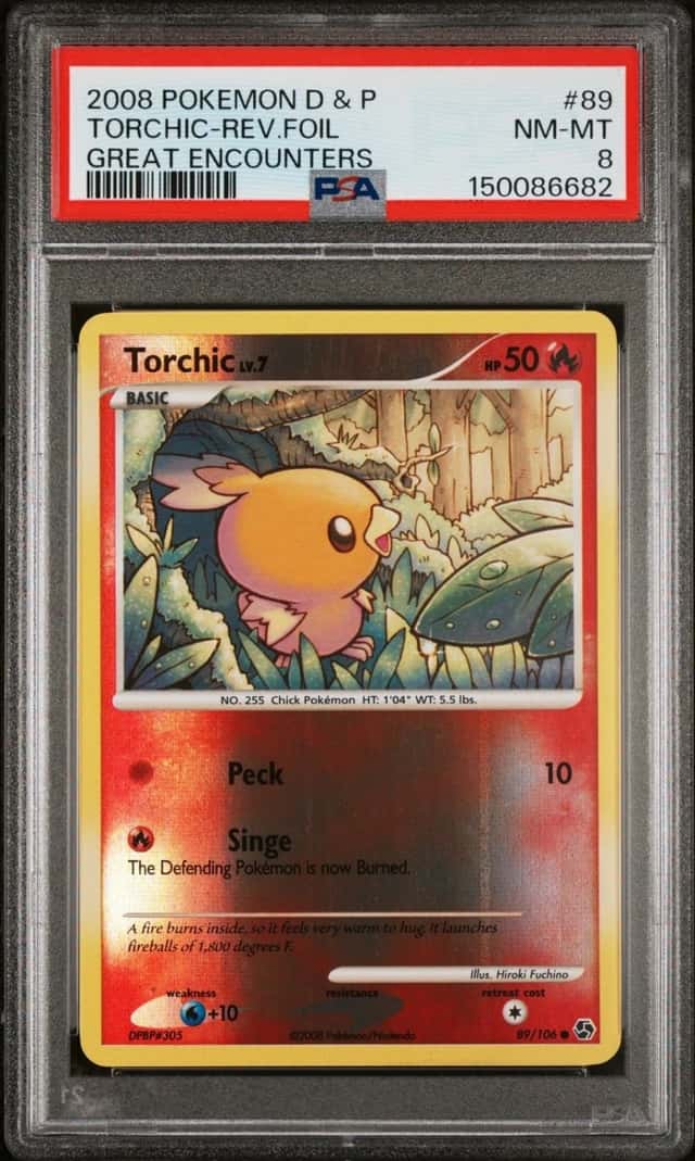 Torchic