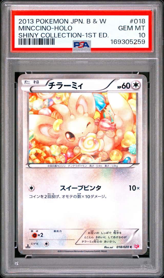 Minccino