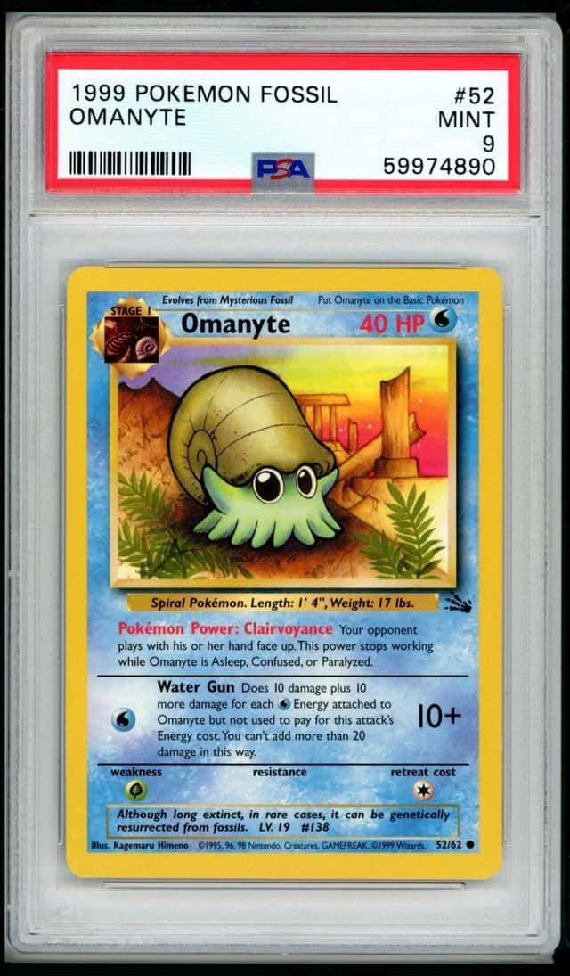 Omanyte
