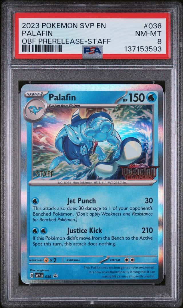 Palafin
