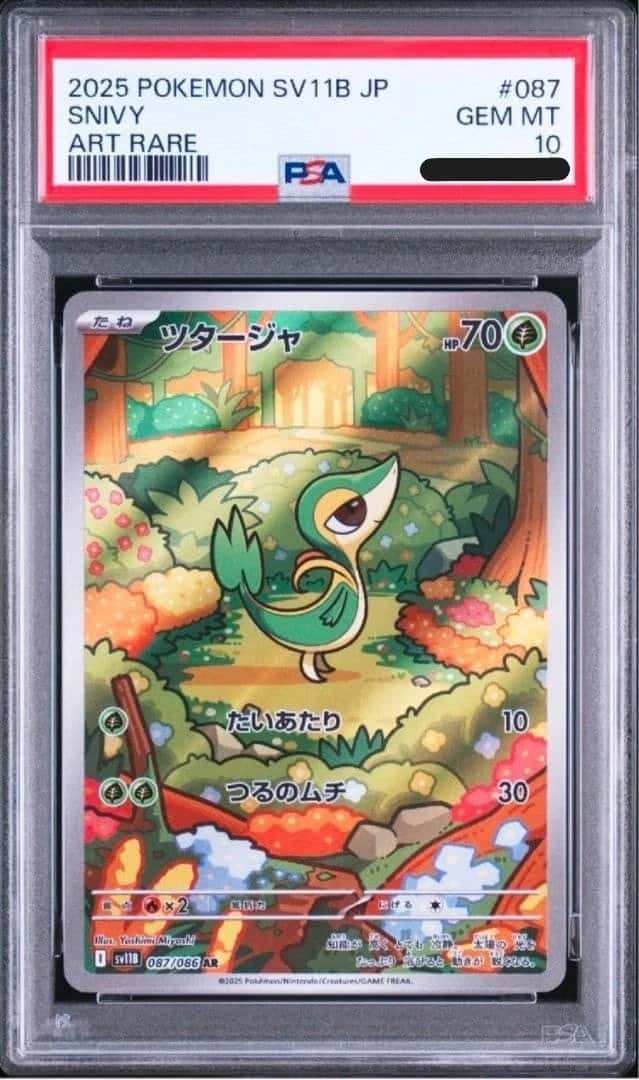 Snivy
