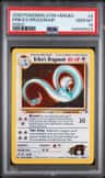 Erika'S Dragonair