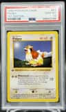 Pidgey
