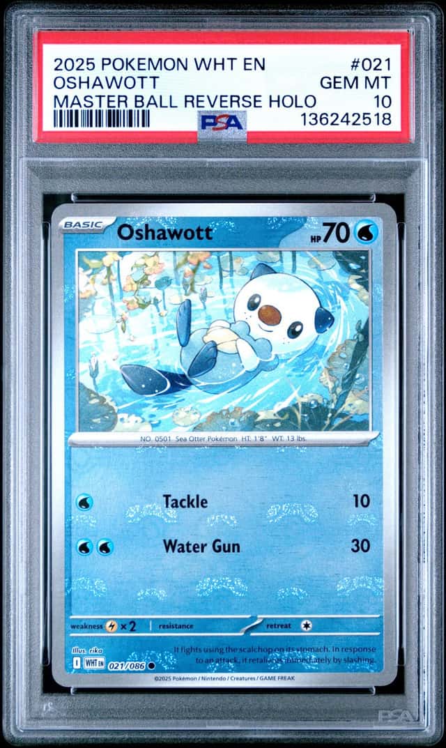 Oshawott