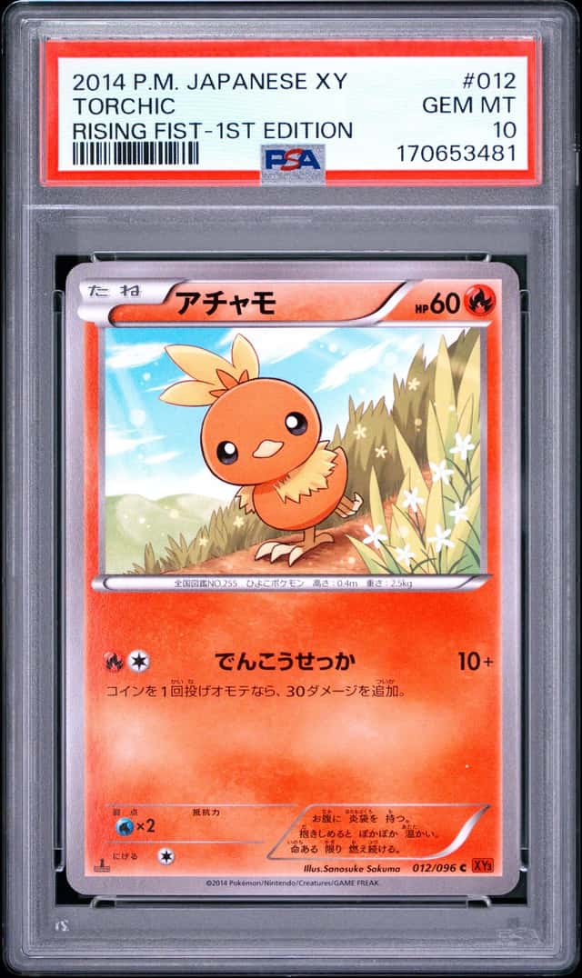 Torchic