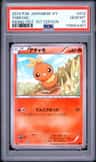 Torchic