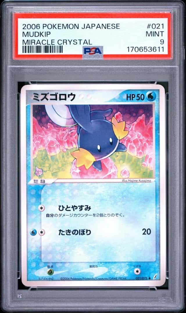 Mudkip