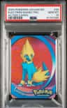 Electrike/manectric