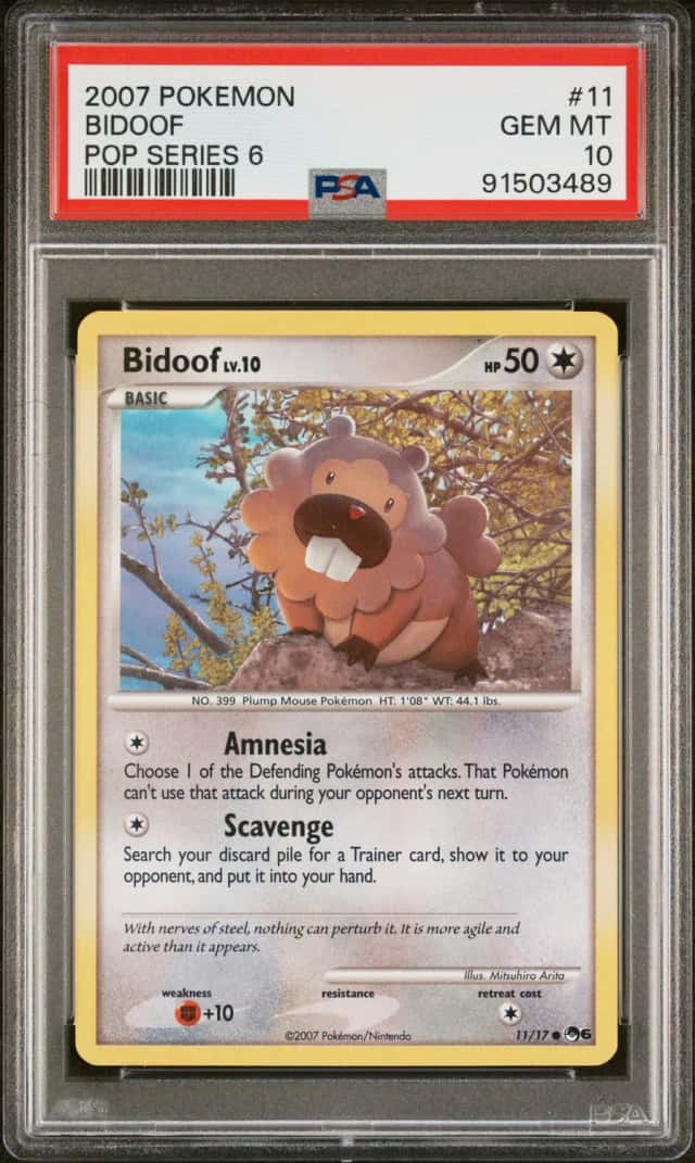 Bidoof