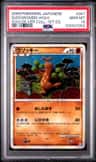 Sudowoodo