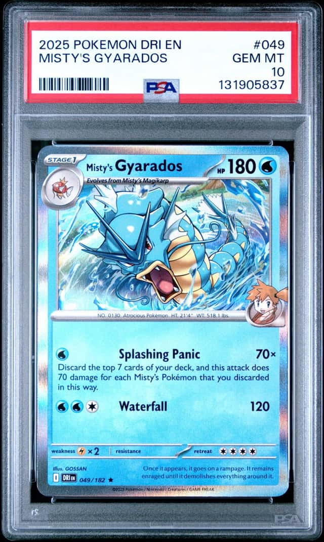 Misty's Gyarados