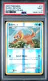 Buizel