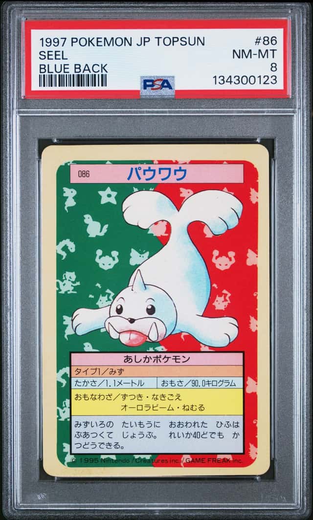Seel
