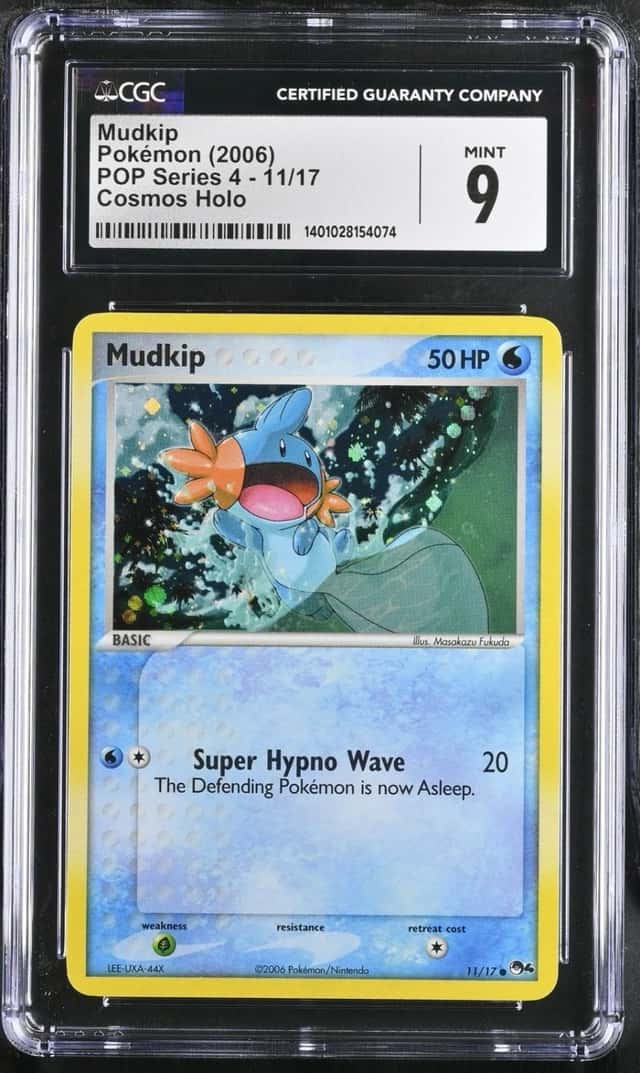 Mudkip