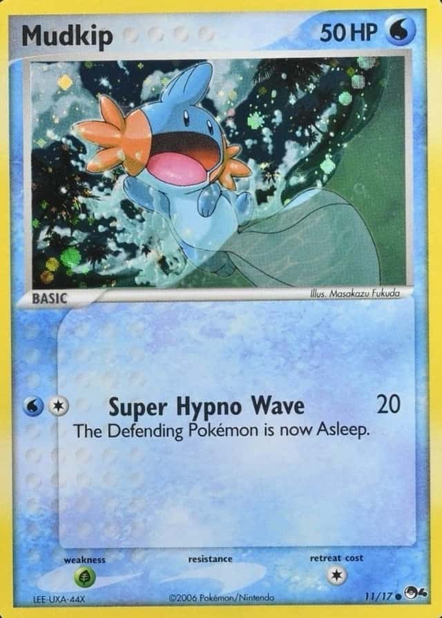 Holo