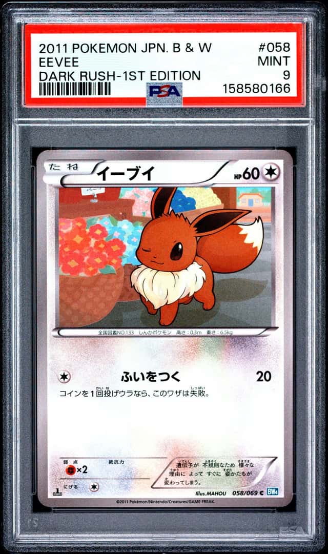 Eevee