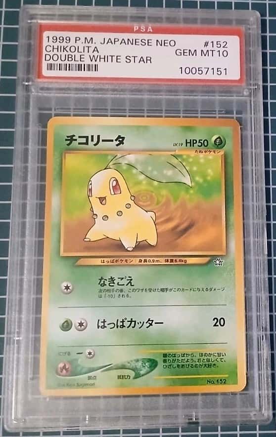 Chikorita