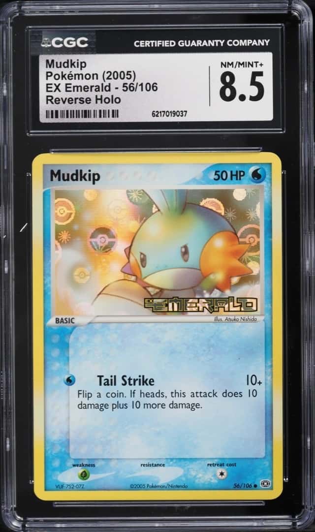 Mudkip