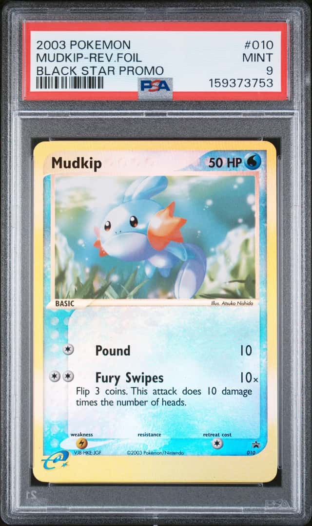 Mudkip