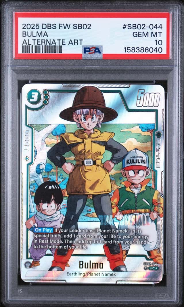 Bulma