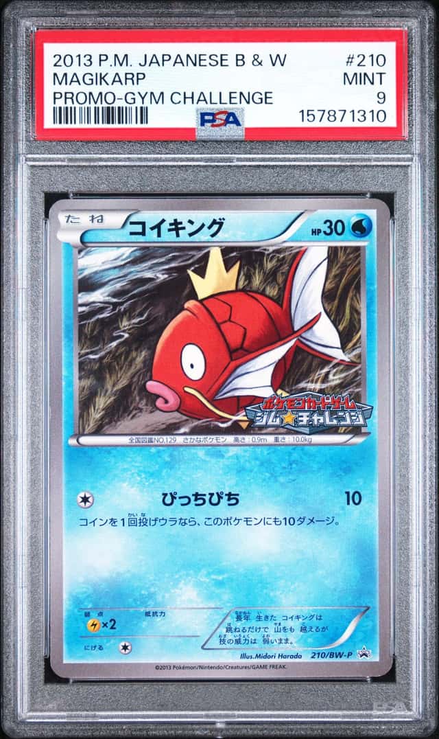 Magikarp