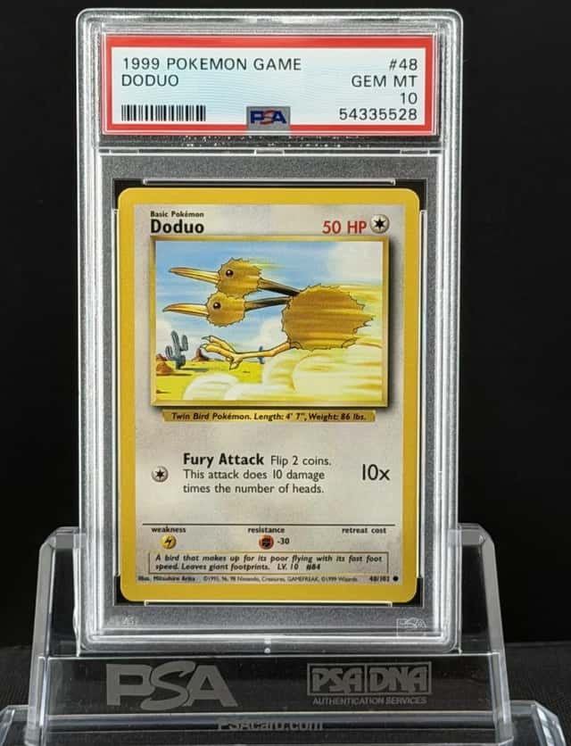 Doduo
