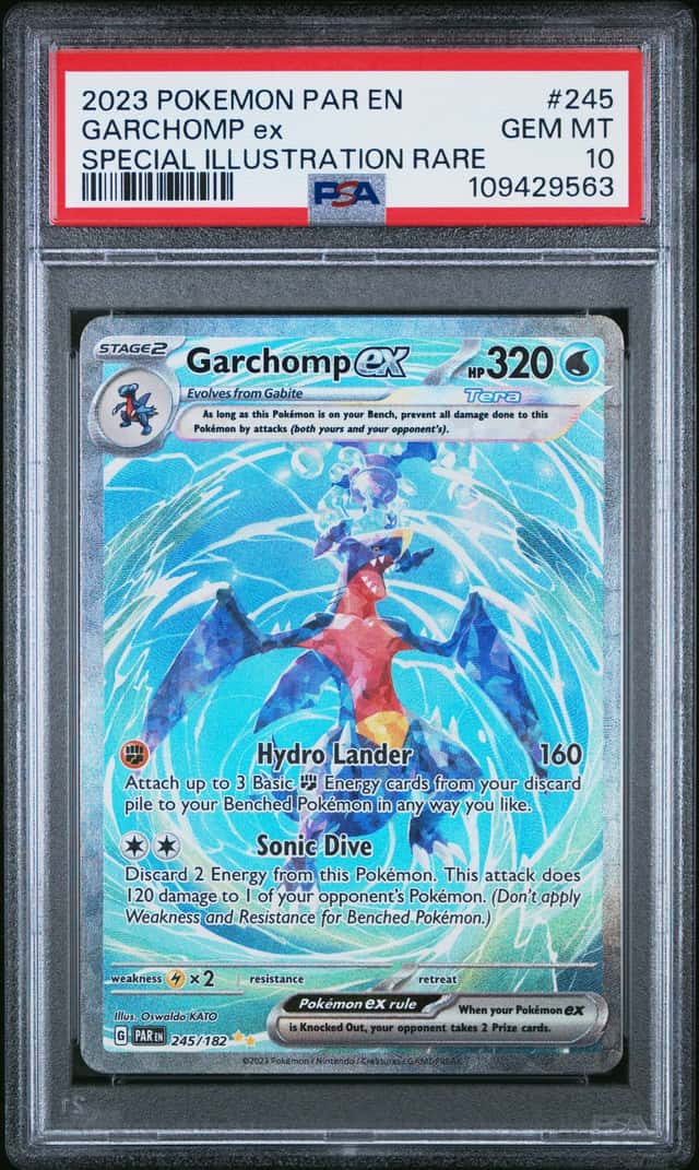 GARCHOMP ex