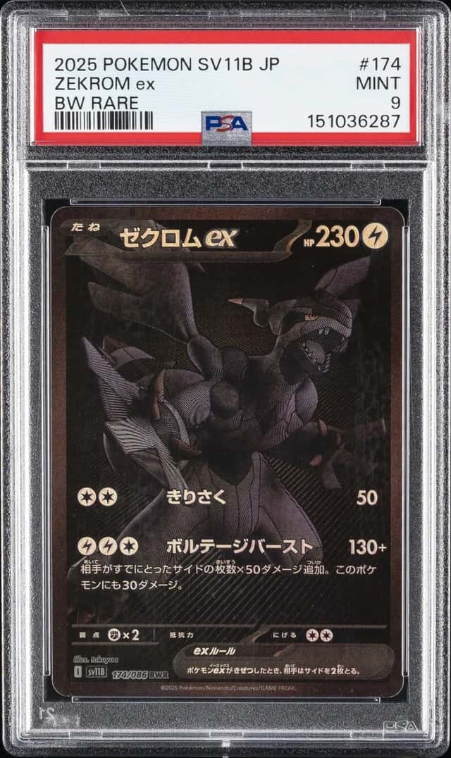 ZEKROM ex