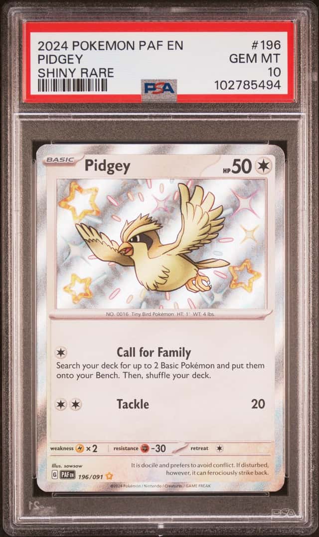 Pidgey