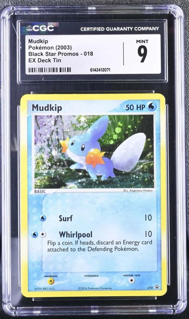 Mudkip