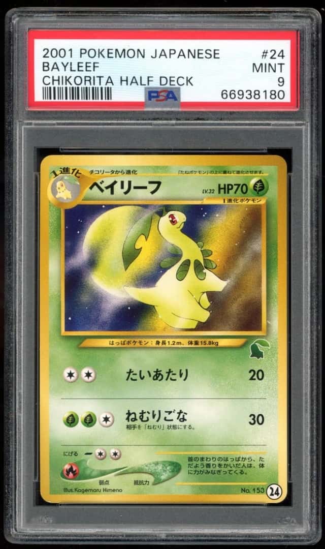 Bayleef