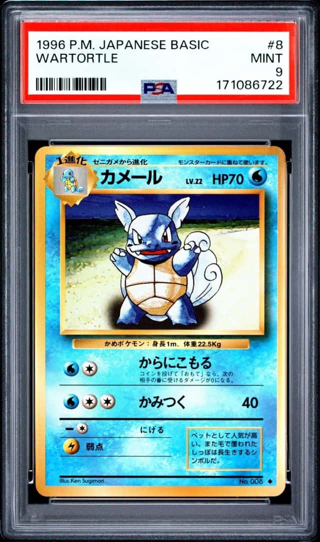 Wartortle