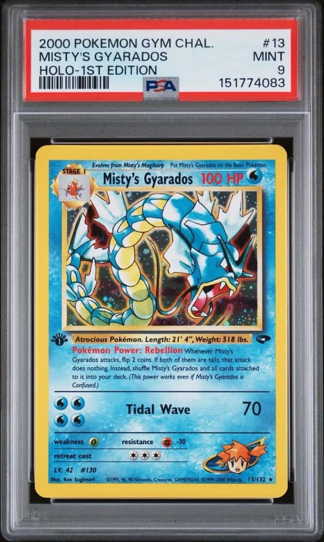 Misty's Gyarados