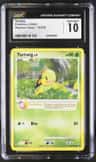 Turtwig