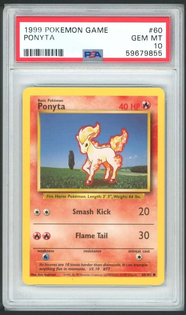 Ponyta