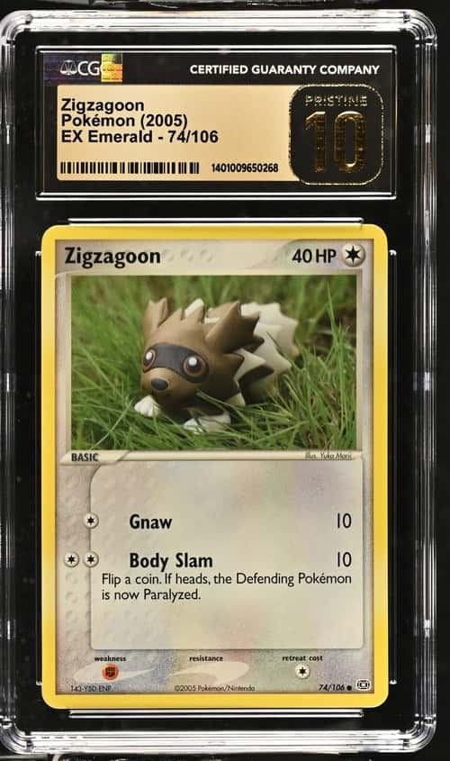 Zigzagoon