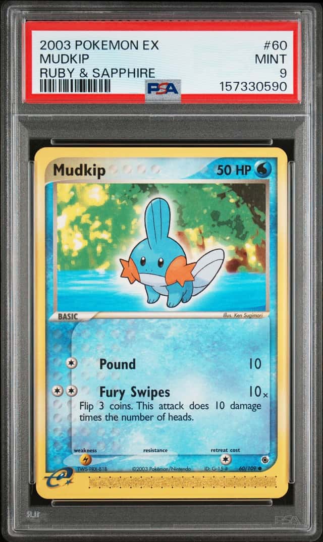 Mudkip