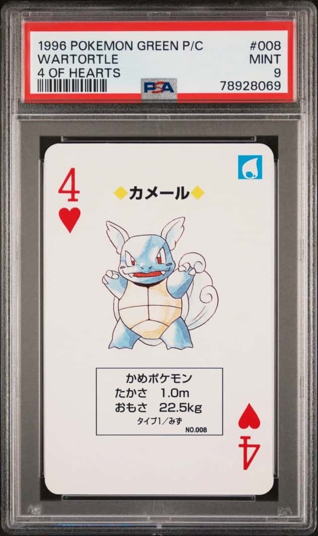 Wartortle