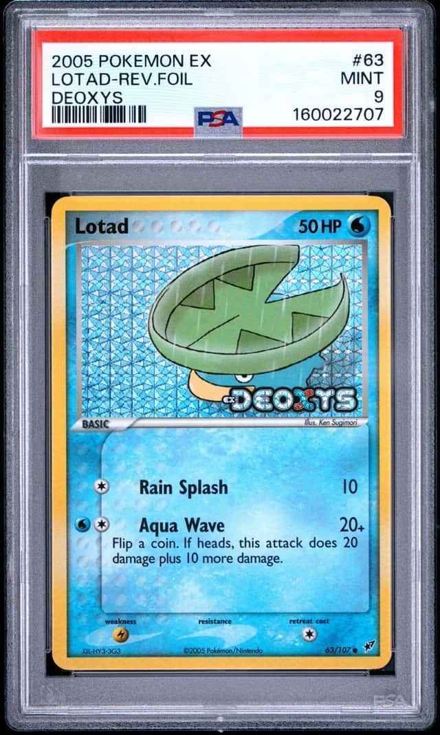 Lotad