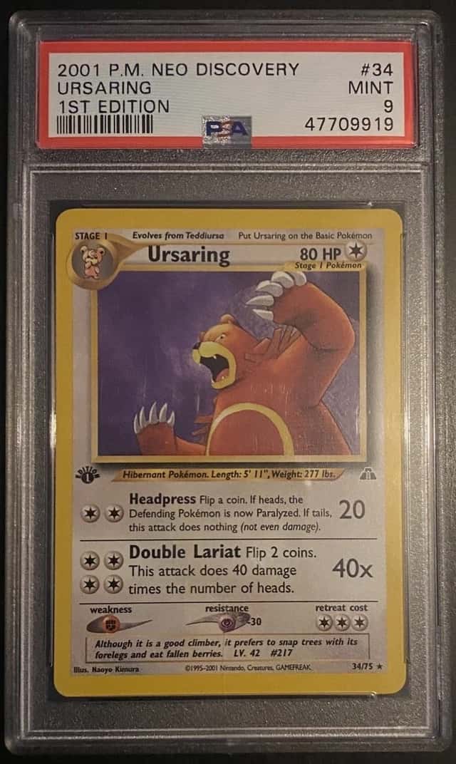 Ursaring