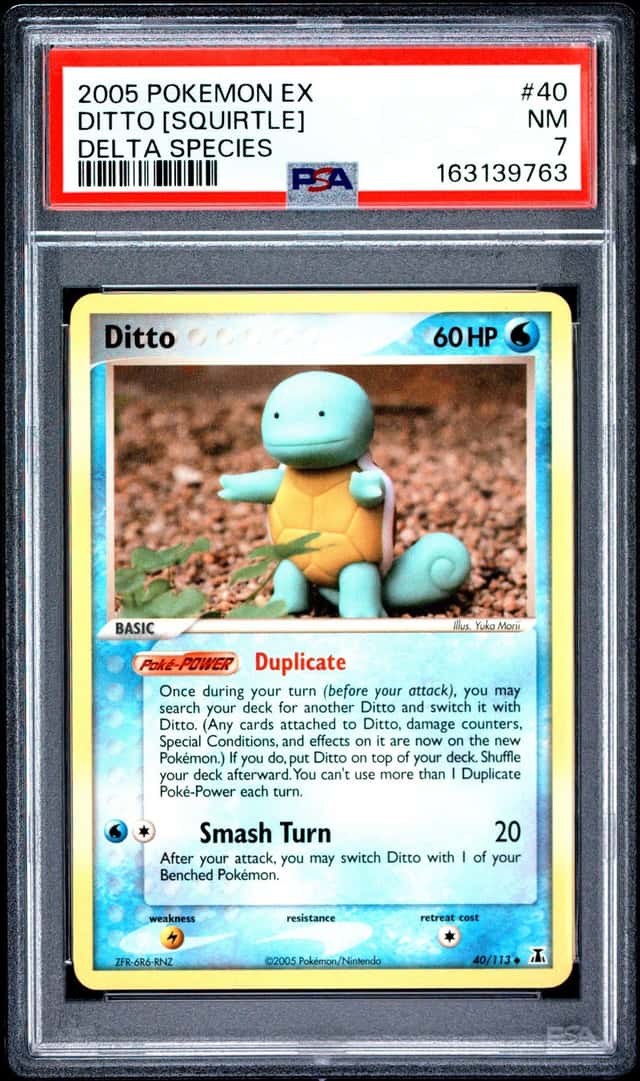 Ditto [Squirtle]